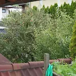 Schiestl Wiesing
