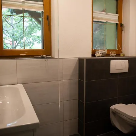 Schiestl Tatil Evi Wiesing